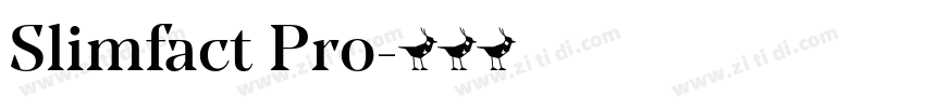 Slimfact Pro字体转换